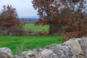 Clicca qui per vedere l'immagine in dettaglio